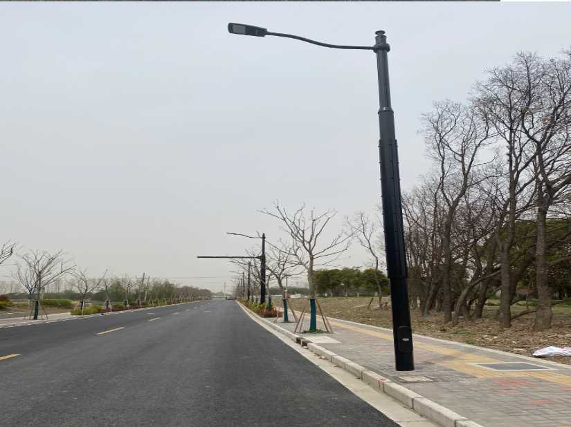 荔波县上海综合杆 太阳能路灯工程